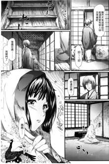 Tokoharu no Shoujo-tachi, 中文