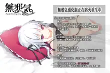 Mahou Shoujo 13.0, 中文