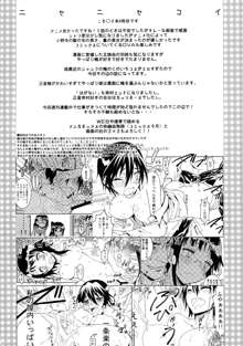 Nisenisekoi 4, English