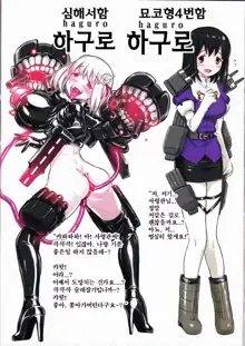 Shinkai Seikanka KanMusu Report, 한국어