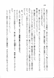 トキメキ☆レッスン 麻由のきゃぴるん初体験！, 日本語