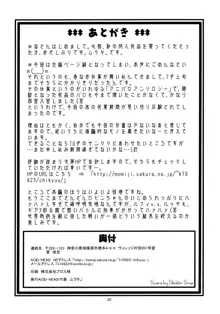 ナミの裏航海日誌, 日本語