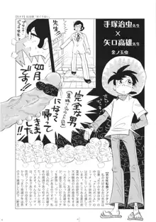 FLOUR2 手塚漫画グラフィティ, 日本語