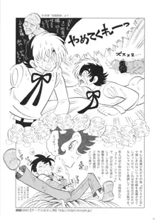 FLOUR2 手塚漫画グラフィティ, 日本語