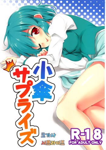 (C83) [Takoyaki-batake (Takoyaki) Kogasa Surprise (Touhou Project) [Korean]