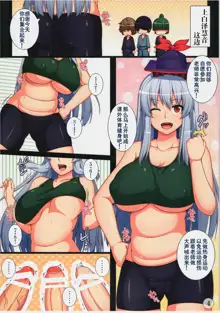 Touhou Daniku Hon 2 ~Diet Sex Cool Joshi Hen~, 中文