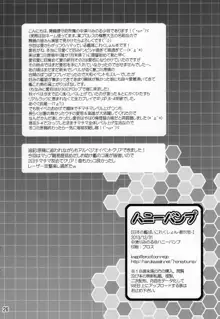 日本の艦ぱいこれくしょん-創刊号-, 日本語