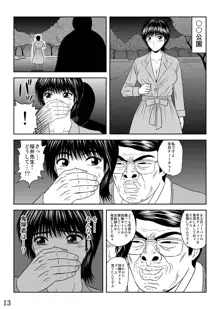 犯された女教師 冬月あずさ, 日本語