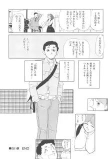 巨乳女教師あずさ, 日本語