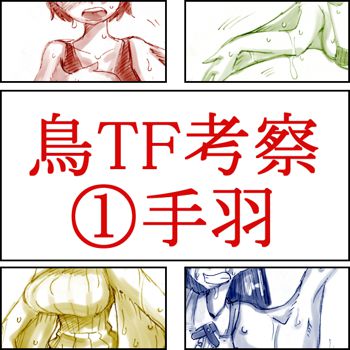 鳥TFに関する考察と練習, 日本語