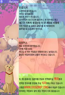 Mousou sei Ginpatsu Kuma Girl, 한국어