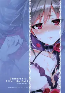 Cinderella, After the Ball ~Boku no Kawaii Ranko~, 中文