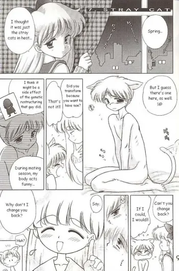 Sailor Venus - The Stray Cat, English