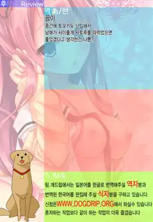 Koakuma (Hatsukoi) Girlfriend, 한국어