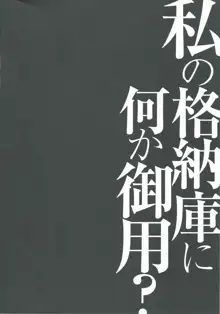 私の格納庫に何か御用？, 日本語