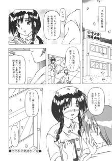 ばーじん☆キス, 日本語