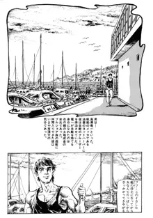 笠間しろう作品第三集 恥辱の刻印, 日本語