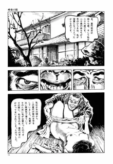 笠間しろう作品第六集 縄夫人, 日本語