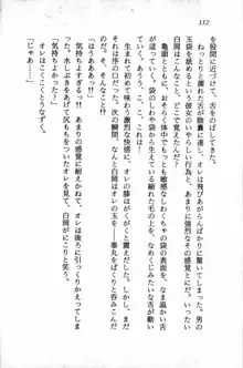 課外授業はあとにシ・テ！ 瑞穂ちゃんのドキドキHな大作戦, 日本語