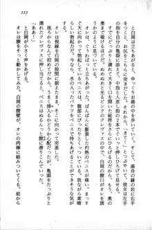 課外授業はあとにシ・テ！ 瑞穂ちゃんのドキドキHな大作戦, 日本語