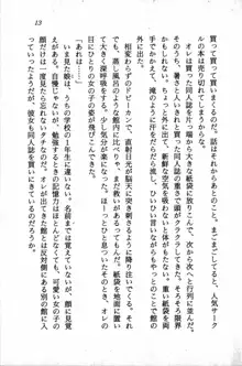 課外授業はあとにシ・テ！ 瑞穂ちゃんのドキドキHな大作戦, 日本語