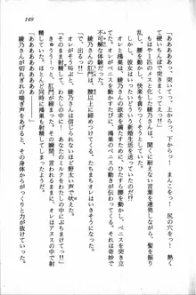 課外授業はあとにシ・テ！ 瑞穂ちゃんのドキドキHな大作戦, 日本語