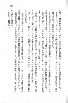 課外授業はあとにシ・テ！ 瑞穂ちゃんのドキドキHな大作戦, 日本語