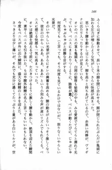 課外授業はあとにシ・テ！ 瑞穂ちゃんのドキドキHな大作戦, 日本語