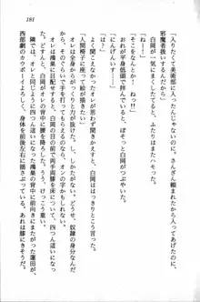 課外授業はあとにシ・テ！ 瑞穂ちゃんのドキドキHな大作戦, 日本語