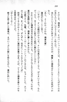 課外授業はあとにシ・テ！ 瑞穂ちゃんのドキドキHな大作戦, 日本語