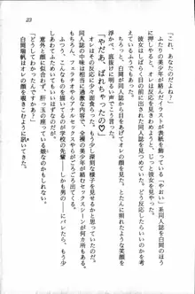 課外授業はあとにシ・テ！ 瑞穂ちゃんのドキドキHな大作戦, 日本語