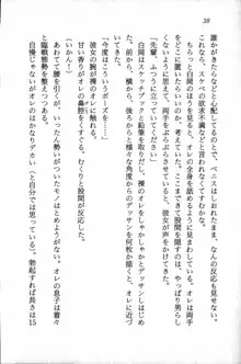 課外授業はあとにシ・テ！ 瑞穂ちゃんのドキドキHな大作戦, 日本語