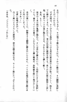 課外授業はあとにシ・テ！ 瑞穂ちゃんのドキドキHな大作戦, 日本語