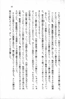 課外授業はあとにシ・テ！ 瑞穂ちゃんのドキドキHな大作戦, 日本語