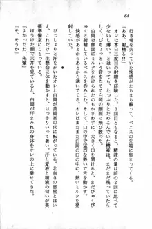 課外授業はあとにシ・テ！ 瑞穂ちゃんのドキドキHな大作戦, 日本語