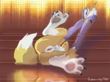 Renamon, 日本語