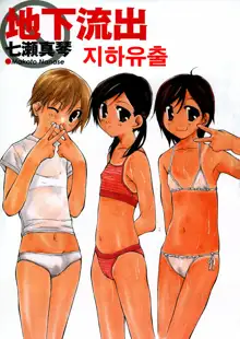 Chika Ryuushutsu - Leaked to Underground, 한국어