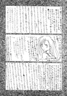 えふえふせぶん1-2-3 reprint, 日本語