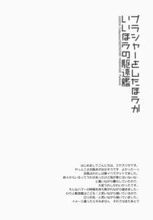 ブラジャーをしたほうがいいほうの駆逐艦, 日本語