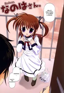 Fate-chan. +Nanoha-chan. ALL FULL COLOR Soushuuhen Shinsouban, English