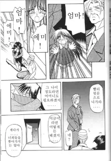 Hiiro no Koku Gekan | 비색의 긱 하컨, 한국어