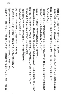 マーメイド☆プリンセス 南の海より愛をこめて！, 日本語