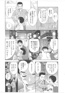 ガラスの女神 2, 日本語