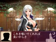 性魔法騎士団～魔女の刻印～, 日本語