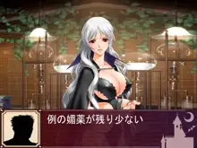 性魔法騎士団～魔女の刻印～, 日本語