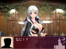 性魔法騎士団～魔女の刻印～, 日本語