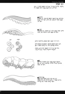 LIMB LEGION, 한국어