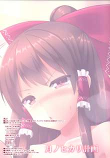 JK Reimu to Kyoushitsu H ~Moshi Hakurei Reimu ga, Tsundere de Hinnyuu na Osananajimi Dattara, 中文