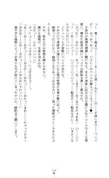 聖騎士牧場 家畜に堕ちた戦姫たち, 日本語