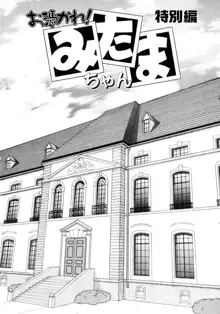 お憑かれ!みたまちゃん1, 日本語